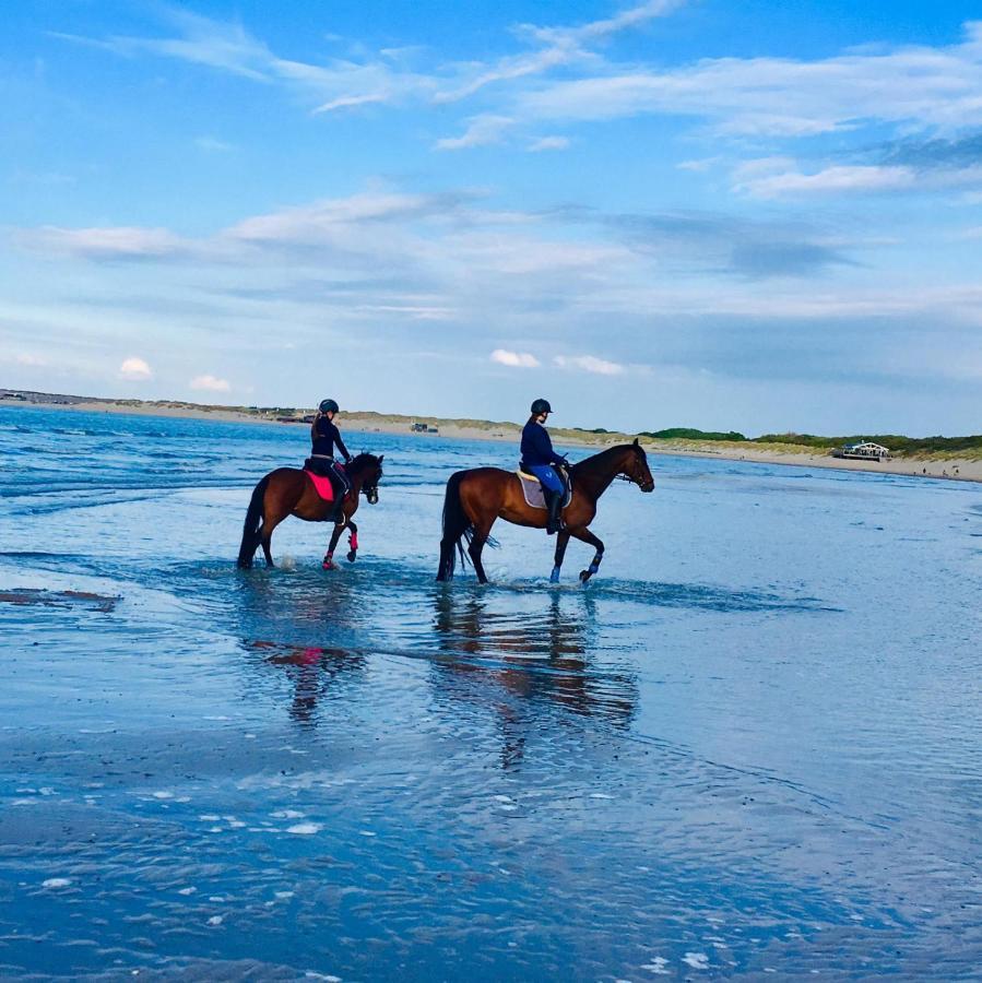 De Schelphoeve Ellemeet Dış mekan fotoğraf